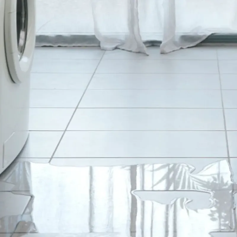 Appliance Leak Cleanup in Iron County, MI