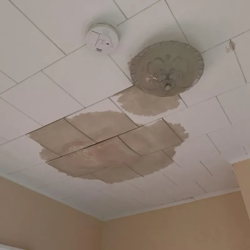 Ceiling Water Damage Repair in Iron County, MI