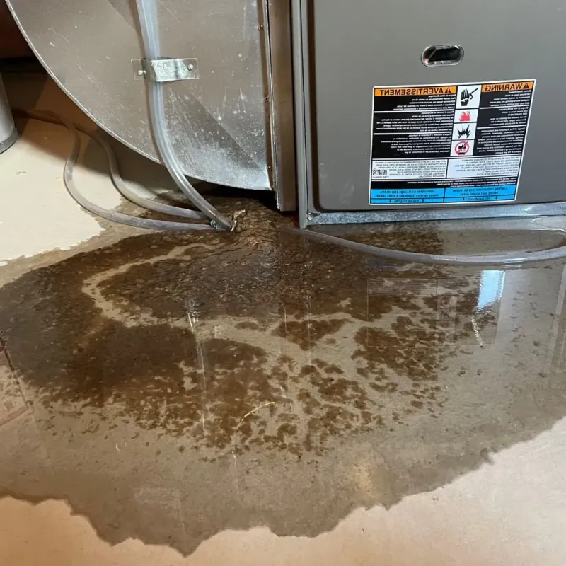 Pipe Burst and Leak Restoration in Iron County, MI