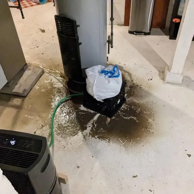 Sewage Backup Cleanup Service in Iron County, MI
